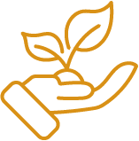 pictogramme d'une main avec une plante